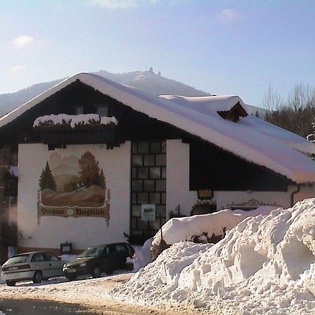 Pension Bergblick Bayerisch Eisenstein Buitenkant foto